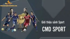 Khám Phá Sảnh Thể Thao CMD Sports Cực Sôi Động Tại TDTC