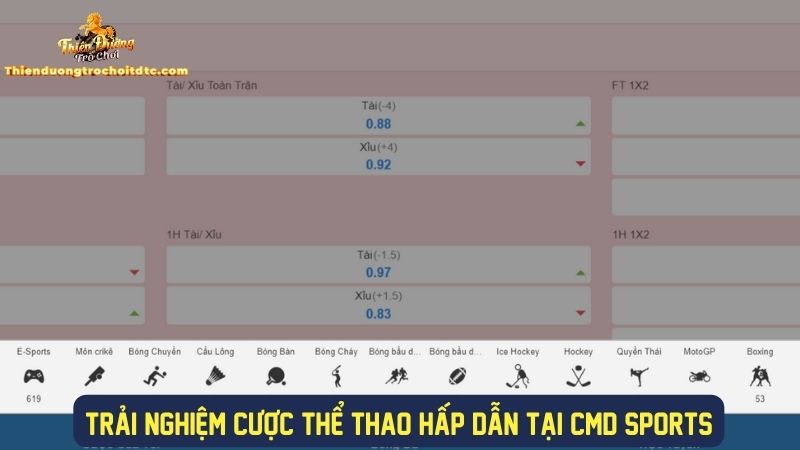 Cược thể thao hấp dẫn tại sảnh CMD