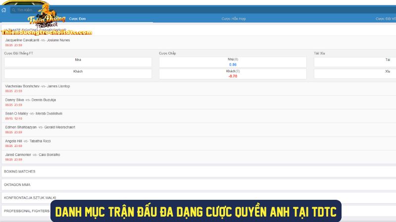 Danh mục các trận quyền anh đa dạng