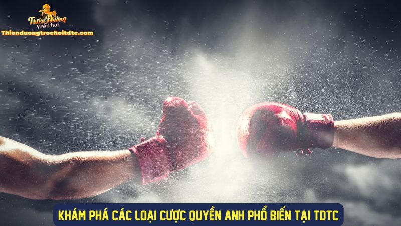 Khám phá các loại kèo cược quyền anh phổ biến