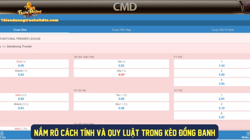 Nắm rõ các quy luật trong kèo đồng