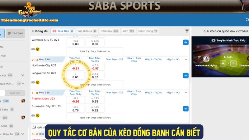Nắm rõ các quy tắc trong kèo đồng