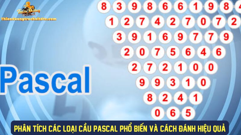 Phân tích chi tiết kỹ thuật soi cầu pascal