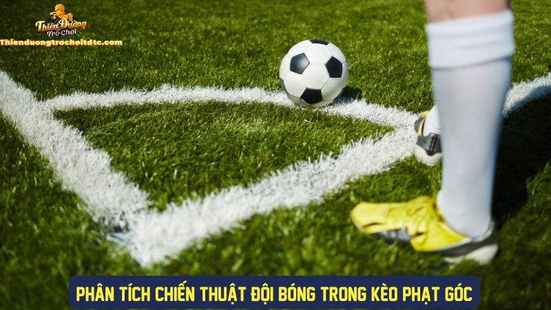 Phân tích chiến thuật khi tham gia kèo