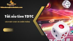 Tài xỉu live TDTC - Cách đặt cược và chiến thắng